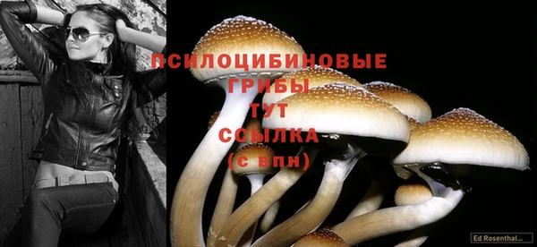 амф Коряжма