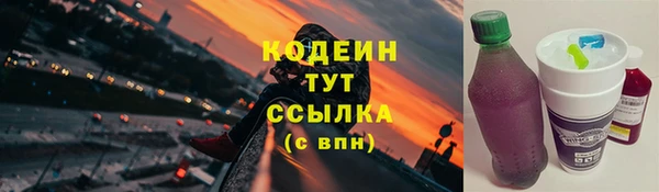 амф Коряжма