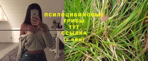 амф Коряжма
