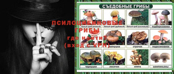 стаф Красноперекопск